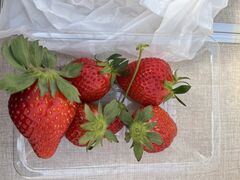 habagou̓c_ւ̓eʐ^1