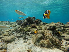 ̃}T[rXނʁ[ւ̓eʐ^1