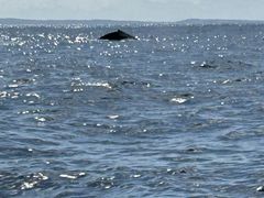 ̃}Vbv }[Chւ̓eʐ^1