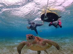 ݂̋{blue܂ق΂ւ̓eʐ^1