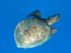 ܂̐Ί_ ADVENTURE PiPiւ̓eʐ^1