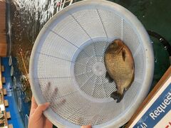 KOTO̒ނČڂ̍ ւ̓eʐ^1