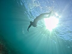 ̗tR_CrOT[rXւ̓eʐ^1