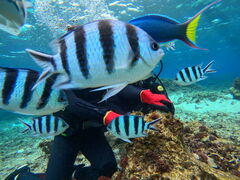 PW̃}Nu Gigiւ̓eʐ^1