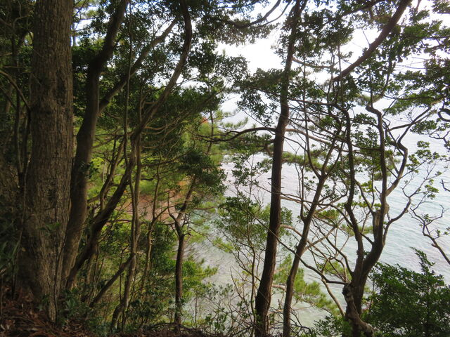 �L������̉����R�����̓��e�ʐ^3