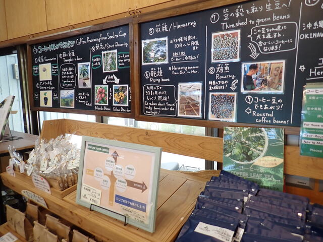 ���g�R�[�q�[��