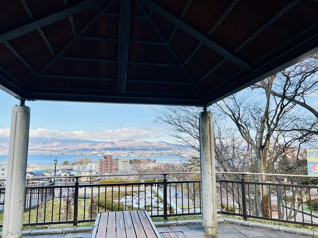 ��������_��������