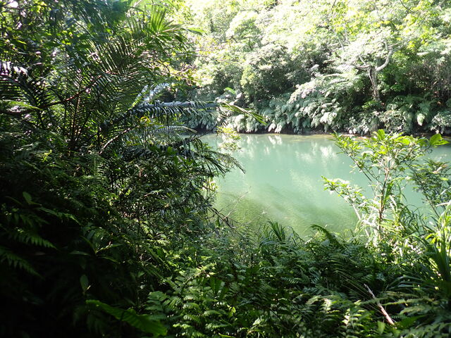 �}�C�a�n�n����̉Y����̓��e�ʐ^1