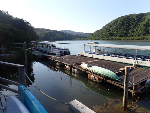 �Y����V���D