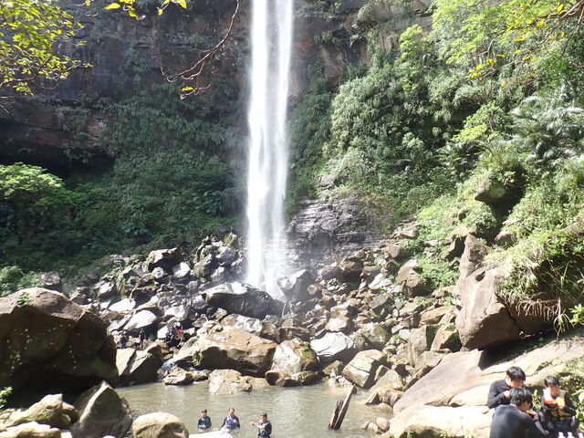 �s�i�C�T�[���̑�