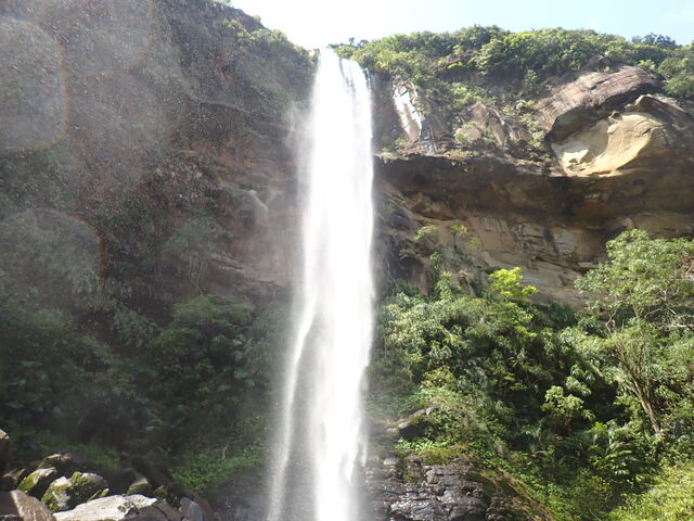 �s�i�C�T�[���̑�