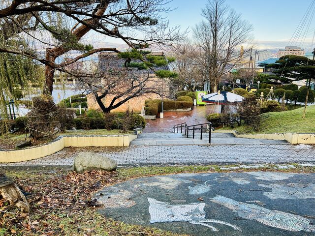 ��������_��������