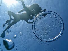 Ȃ肳̐Ί_ ADVENTURE PiPiւ̓eʐ^1