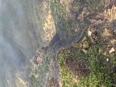 Jackiẽu[tB[hւ̓eʐ^1