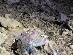 ̐Ί_ ADVENTURE PiPiւ̓eʐ^1