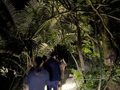 ̐Ί_ ADVENTURE PiPiւ̓eʐ^4