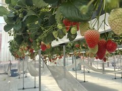 ́[΁[̌(䂢)t@[ւ̓eʐ^1