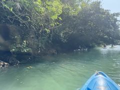 񎟘Ỹu[tB[hւ̓eʐ^1