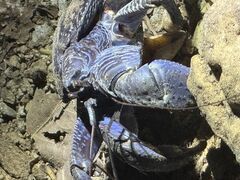 �p�E�G������̐Ί_�� ADVENTURE PiPi�ւ̓��e�ʐ^1