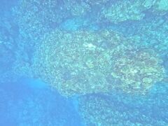 aha̐Ί_ ADVENTURE PiPiւ̓eʐ^1