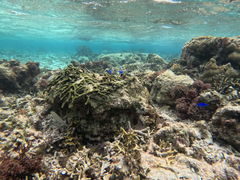 ̃}T[rXނʁ[ւ̓eʐ^1