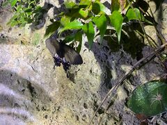 Benchan0828̐Ί_ ADVENTURE PiPiւ̓eʐ^3