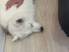 monny����̃h�b�O�M�������[�ւ̓��e�ʐ^1