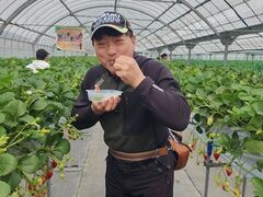 oXXL80̕όAOXl΂ւ̓eʐ^1