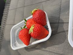 ͂܂肳̂̂ւ̓eʐ^1