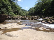 �}�C�a�n�n����̉Y����̓��e�ʐ^1