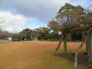 �L������̉����R�����̓��e�ʐ^1