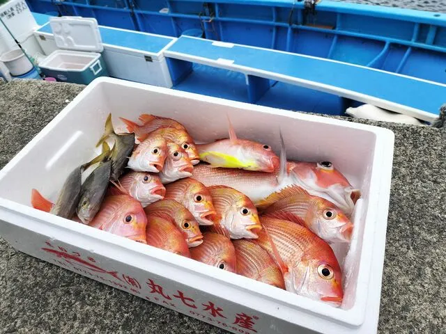 伊東港 海釣り体験