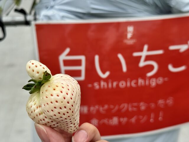 ���c�q�w�A�̔��C�`�S�𔭌��I
�ԂԂ��s���N�Ȃ̂͐H�׍��ȏ؋��������ł�_�͂Ȃ̂��t�@�[��