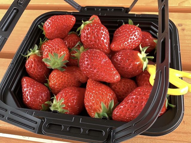 15�ȏ�����_Farm �����悵