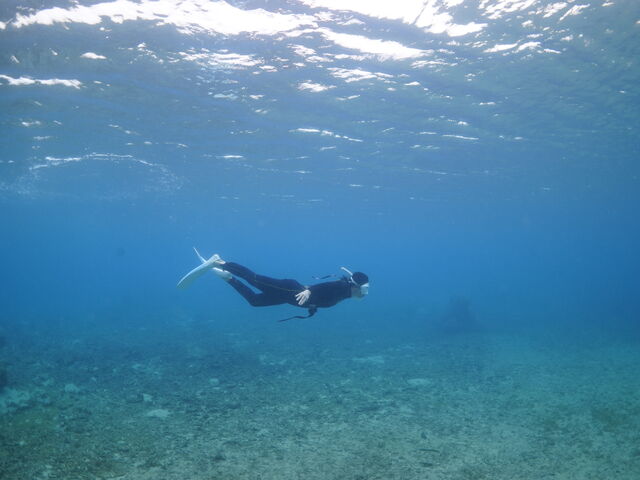 �X�[�b�Ɛ��銴�o��̊���_Lilo Miyakojima