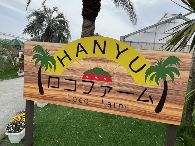 ���������������ƃn���C�A���̕��͋C�ƃf�B�Y�j�[�̉��y
���C�ɓ���ł�_���R�t�@�[���g�`�m�x�t