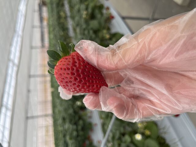 ���܂�񂢂��Ă����������ł�_���R�t�@�[���g�`�m�x�t