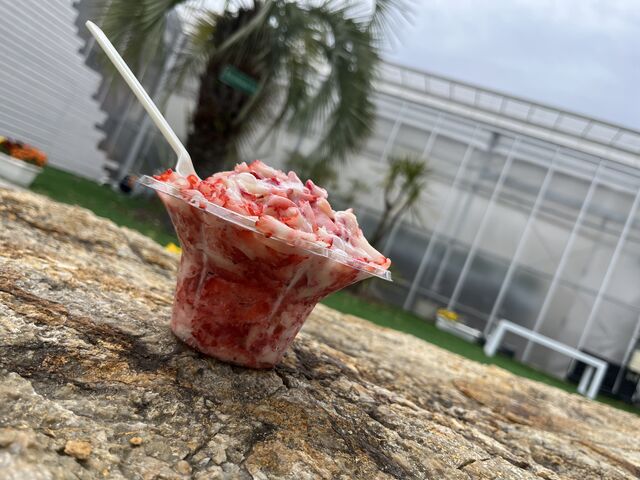 �L�b�`���J�[���o�Ă��ăs�U��H�ׂ���f�U�[�g�H�ׂăT�C�R�[_���R�t�@�[���g�`�m�x�t