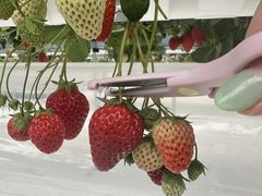 LǑ(䂢)t@[ւ̓eʐ^1