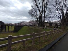 PES����̉�������̍��ւ̓��e�ʐ^1