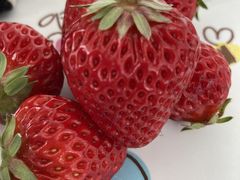 �i�c�~����̏㐙�_���ւ̓��e�ʐ^1