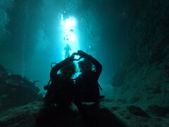 mm̖` ꑍAEghAcA[Xւ̓eʐ^1