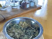 W[WRoots Herb School̓eʐ^1