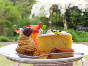 �j�R����񂳂�̐Ηq�K�[�f���e���X�̓��e�ʐ^3