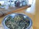 W[WRoots Herb Schoolւ̓eʐ^2