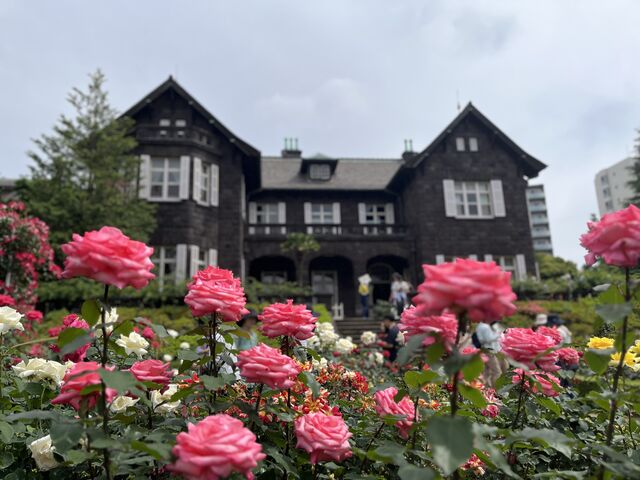 �m�قƃo��_���É͒뉀