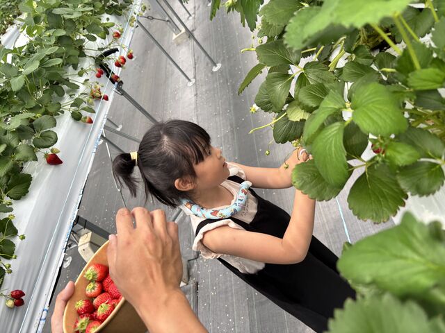 �q�����y���߂�_Green Room