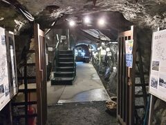 Ђ낳̃}CgsAʎqւ̓eʐ^1