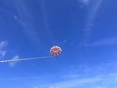 肳̃XJCEH[J[ւ̓eʐ^1