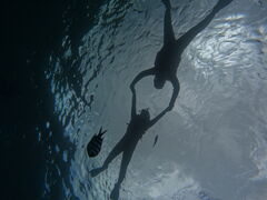 Ԃ񂽂̉AChN[ւ̓eʐ^1